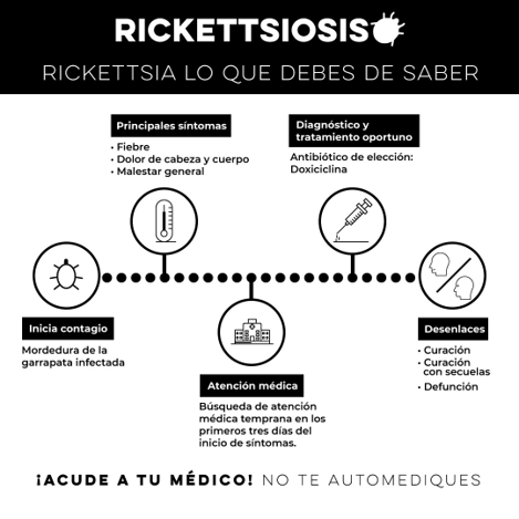 Hermosillo, Sonora; 3 de mayo de 2024.- Insta Salud Sonora a prevenir la rickettsia manteniendo los hogares limpios