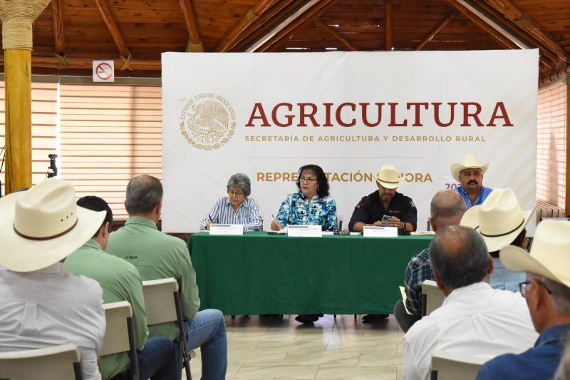 Hermosillo, Sonora; a 13 de julio de 2024.-Trabaja Gobierno de Sonora en reconversión de cultivo y apoyos para productores de Sonora