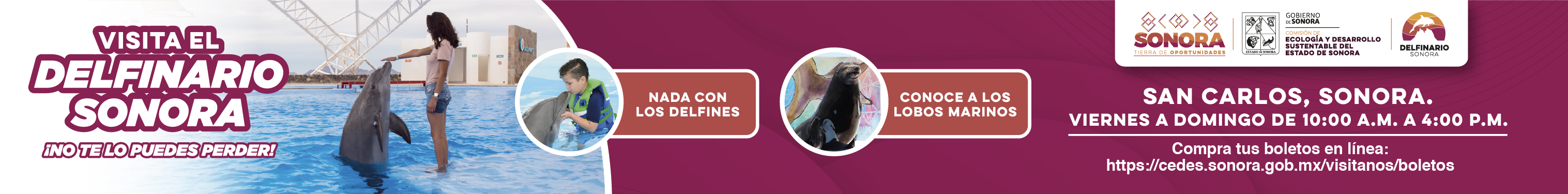 Cabecera