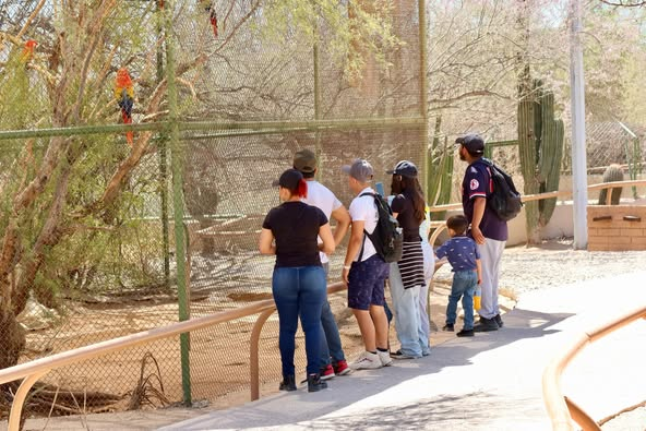 Sonora; 08 de abril de 2025.-El Gobierno de Sonora te invita a disfrutar del Centro Ecológico de Sonora estas vacaciones