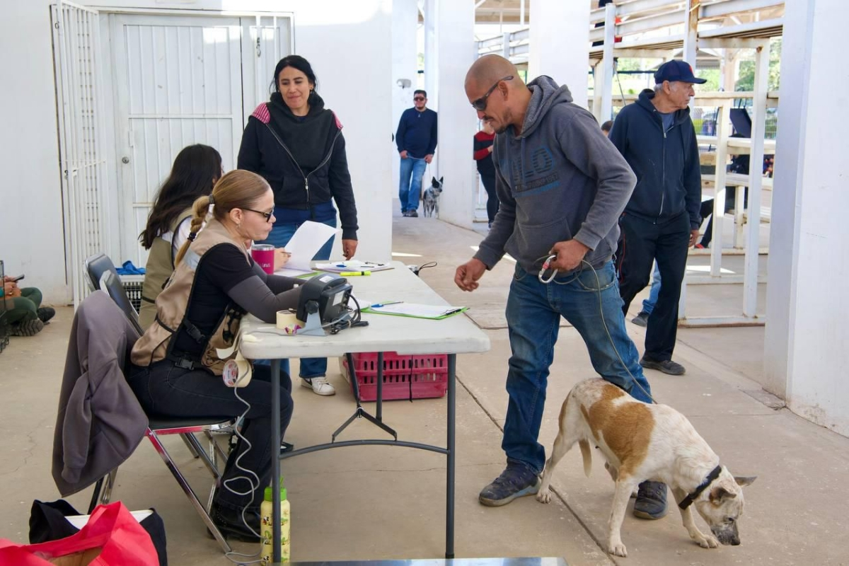 Hermosillo, Sonora; 6 de noviembre de 2024.-Lleva Gobernador Durazo atenciones veterinarias gratuitas y cirugías de esterilización al norte de Hermosillo