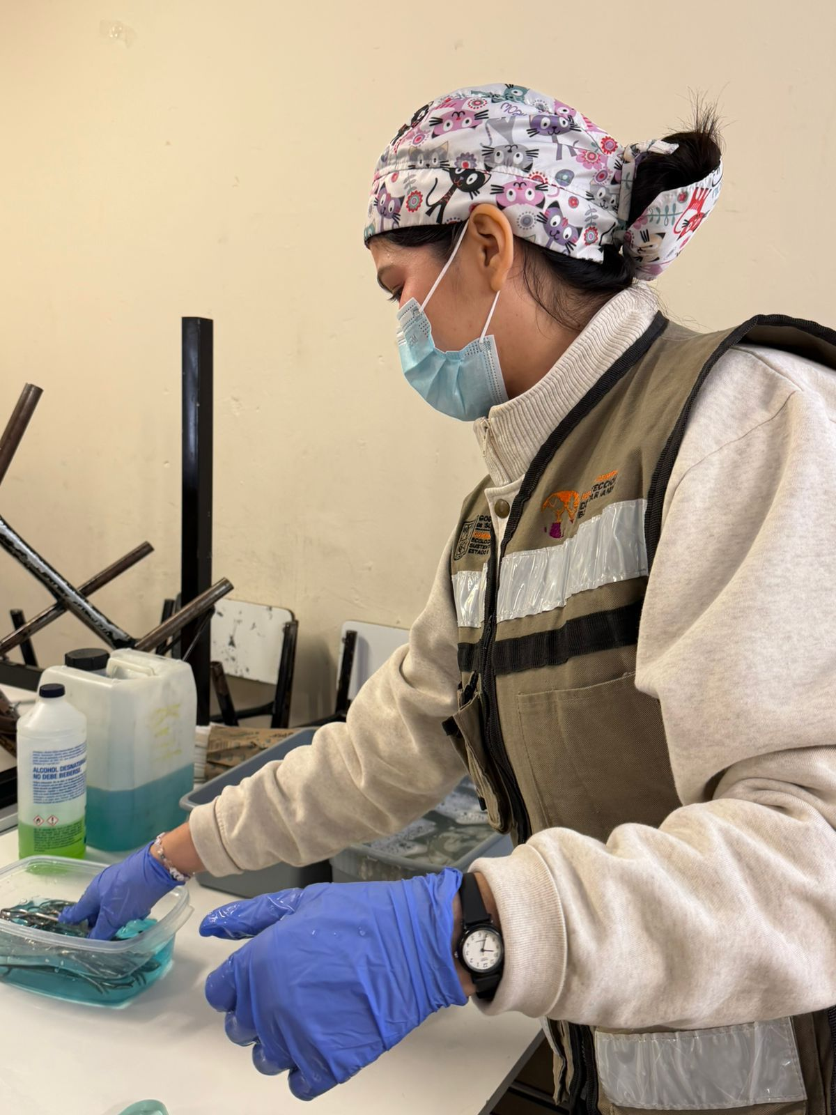   Hermosillo, Sonora; 26 de noviembre de 2025.- Bienestar Animal impulsa jornada gratuita de esterilizaci&oacute;n en Hermosillo