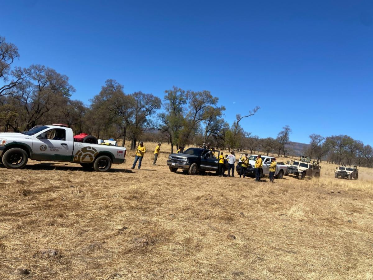 Hermosillo, Sonora; 20 de mayo de 2025.- Liquida Gobierno de Sonora incendio forestal en Yécora en coordinación con autoridades federales y municipales