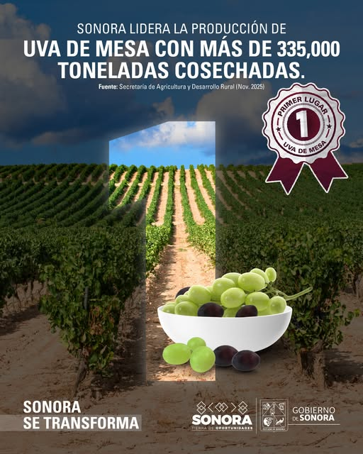  SONORA; 14 DE ENERO DEL 2026.-Gobierno del Estado de Sonora Celebra Uvas de Mesa