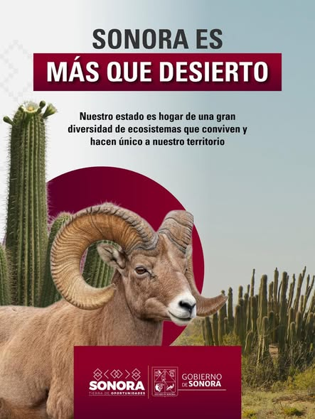  SONORA; 26 DE ENERO DEL 2026.-Gobierno del Estado de Sonora Celebra Diversidad Ambiental