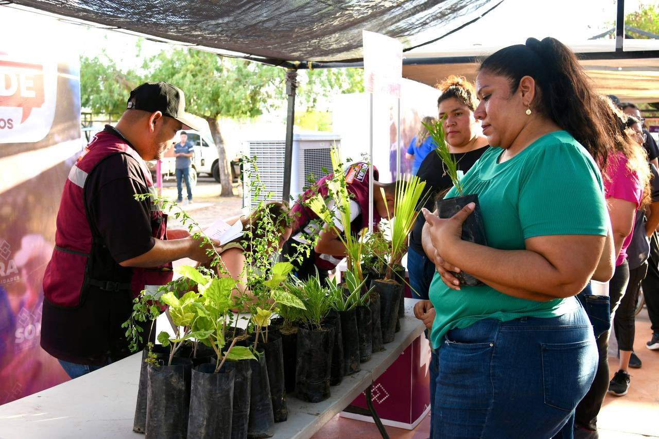  Sonora; 03 de julio del 2025.- El Gobierno de Sonora lleva apoyos y trámites gratuitos cerca de ti con la Feria de Servicios “Sonora Atiende”