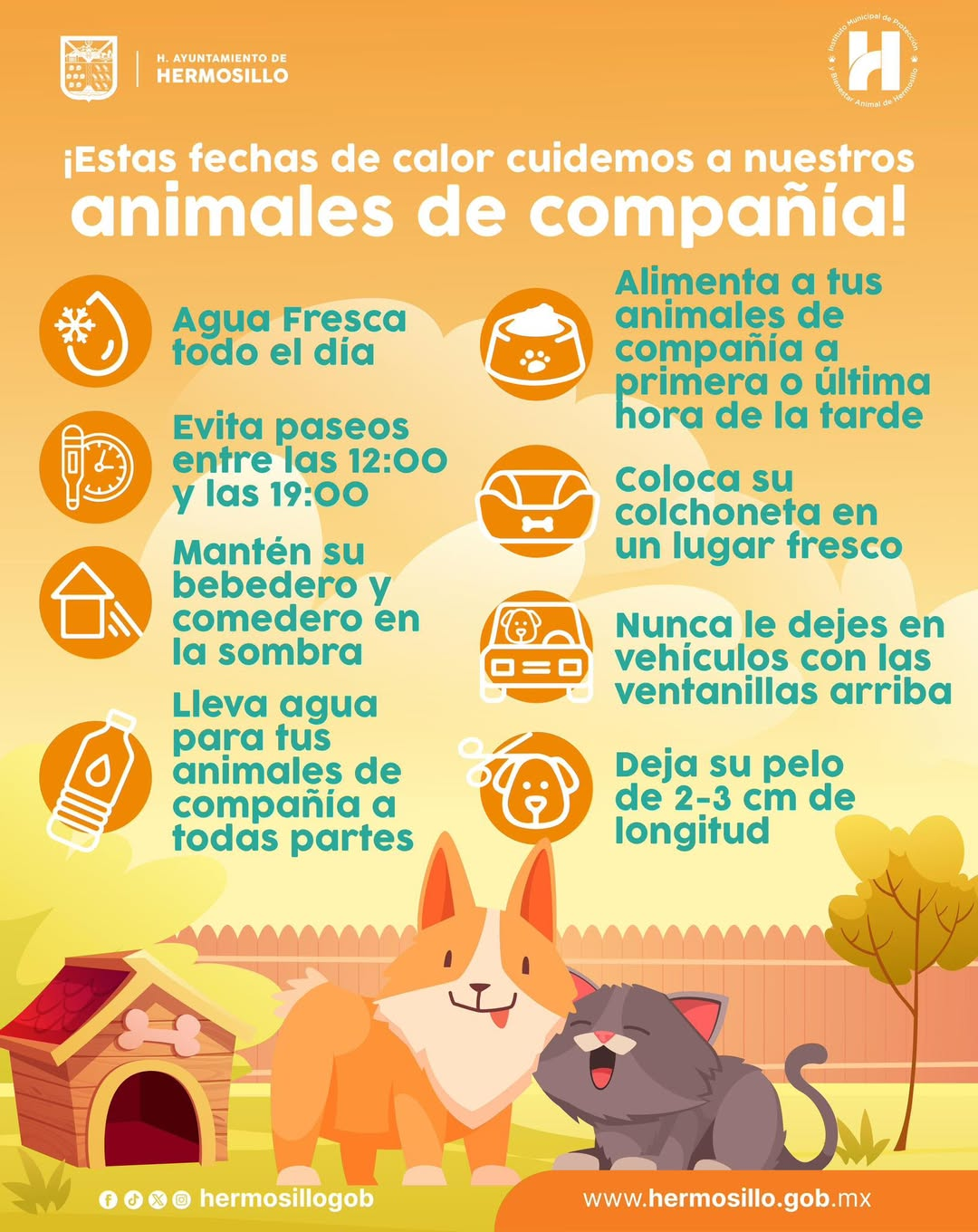 Hermosillo, Sonora; 25 de julio del 2025.-Gobierno de Hermosillo exhorta a cuidar a las mascotas durante las altas temperaturas