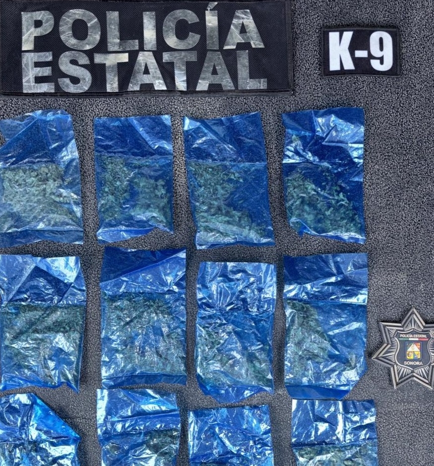 Hermosillo, Sonora; 8 de octubre de 2025.- Binomios K-9 de la Policía Estatal detectan narcótico en Hermosillo