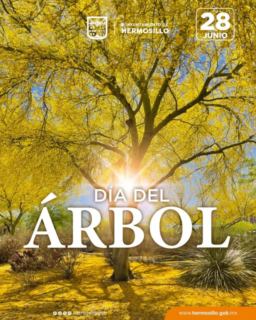Hermosillo, Sonora; 28 de junio del 2025.-El Gobierno de Hermosillo invita a conmemorar el Día Mundial del Árbol con donación de árboles nativos